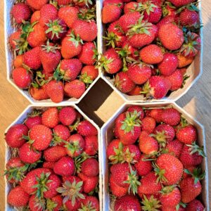 09_Erdbeeren