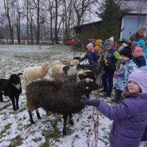 Schafe freuen sich, dass endlich wieder Kinderbesuch