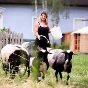 Stefanie beim Schafe füttern