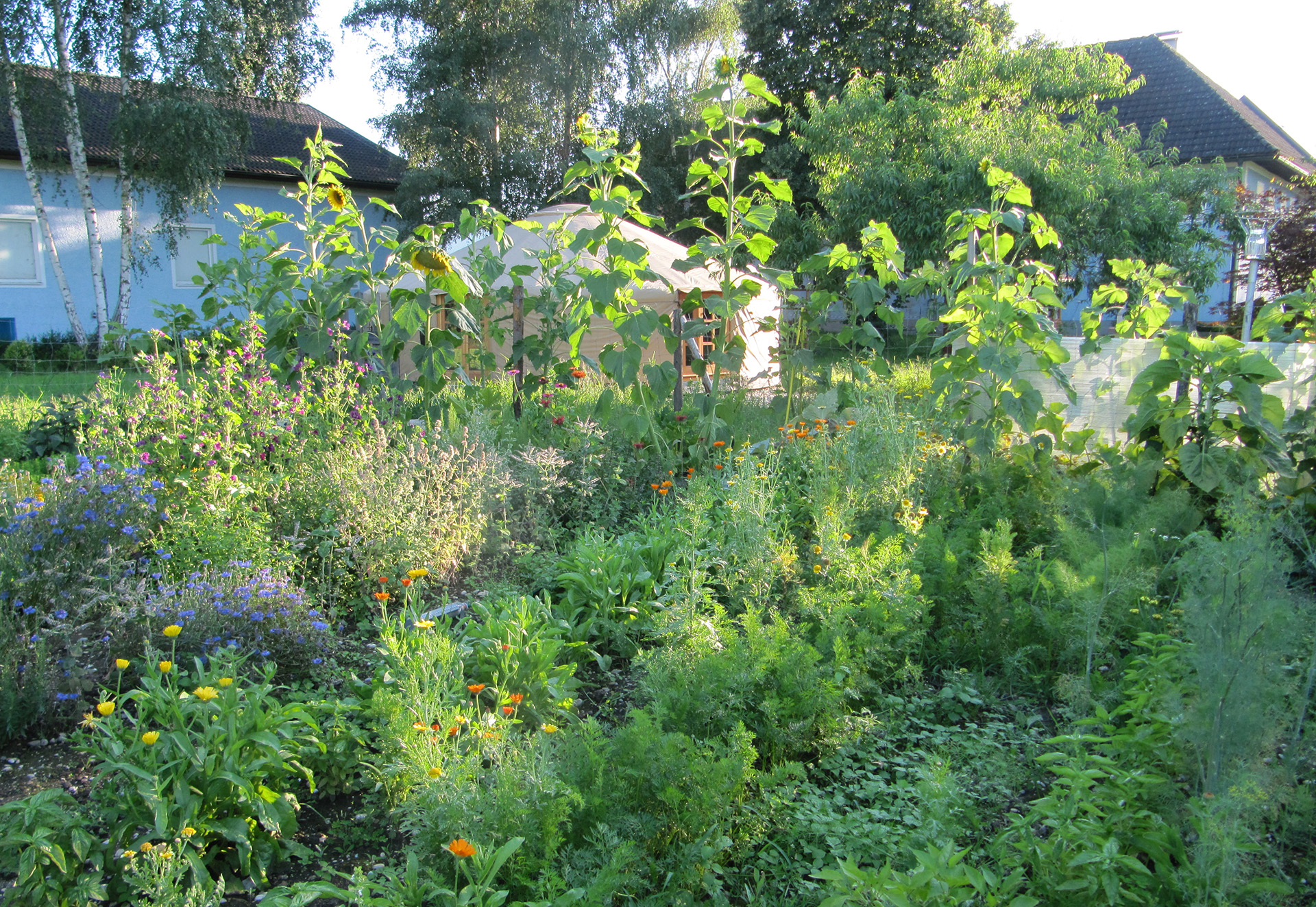 Der Garten in seiner Fülle