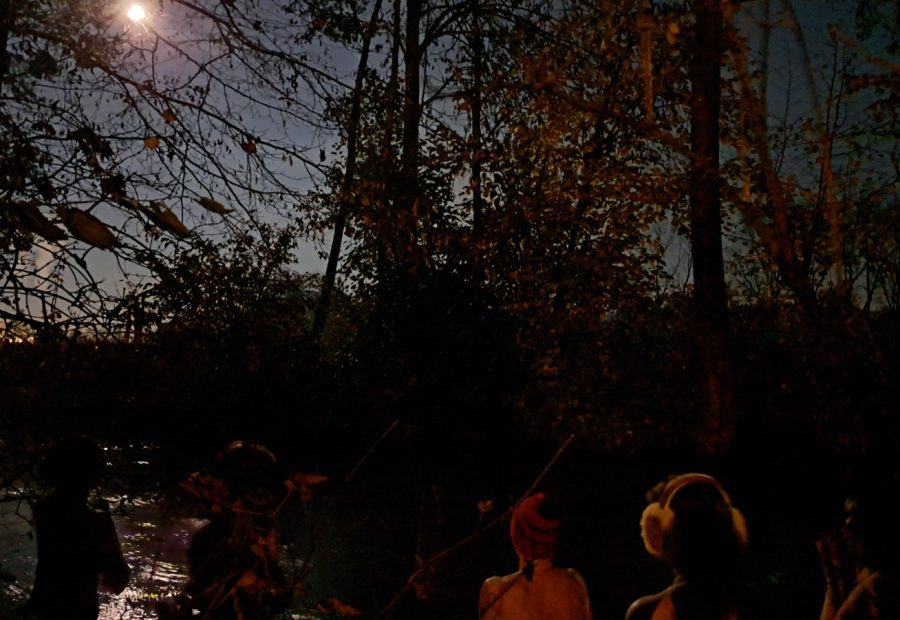 Eisbaden im Schein des Vollmonds
